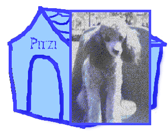 Dina's Pitzi