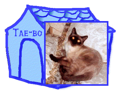 Tae-bo