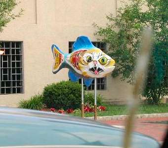 Baltimore Fish Sculpture